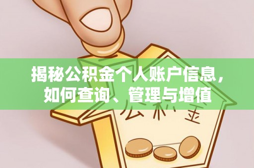 南关揭秘公积金个人账户信息，如何查询、管理与增值
