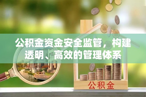 南关公积金资金安全监管，构建透明、高效的管理体系