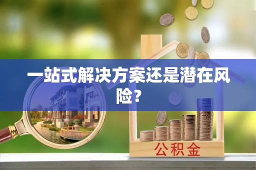 南关一站式解决方案还是潜在风险？